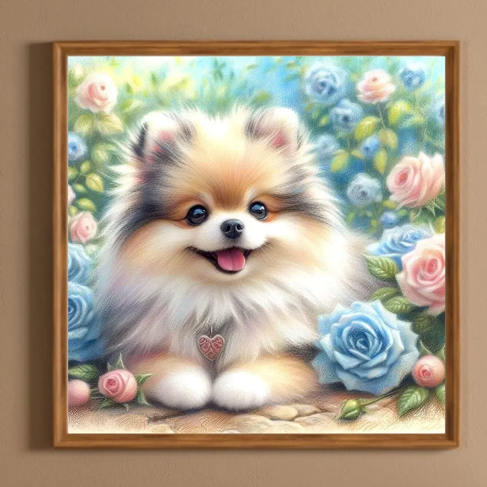 Diamond Painting - Full Round Drill - Rose Pomeranian(Canvas|30*30cm)