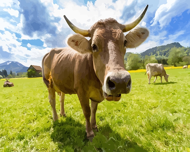 

Cute Cow – Paint By Numbers - 40*50CM, 501 Original