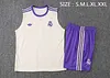 2025/2026 Real Madrid Pre-Match Training Apricot Vest+Shorts Football1:1 Thai Quality