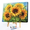 Painting By Numbers - DIY Sun Flower (40*50 CM)