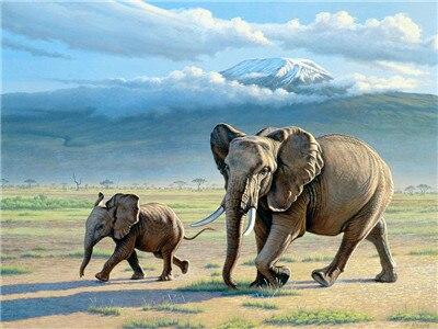 

Mount Elephant – Paint By Numbers - 40*50CM, 501 Original