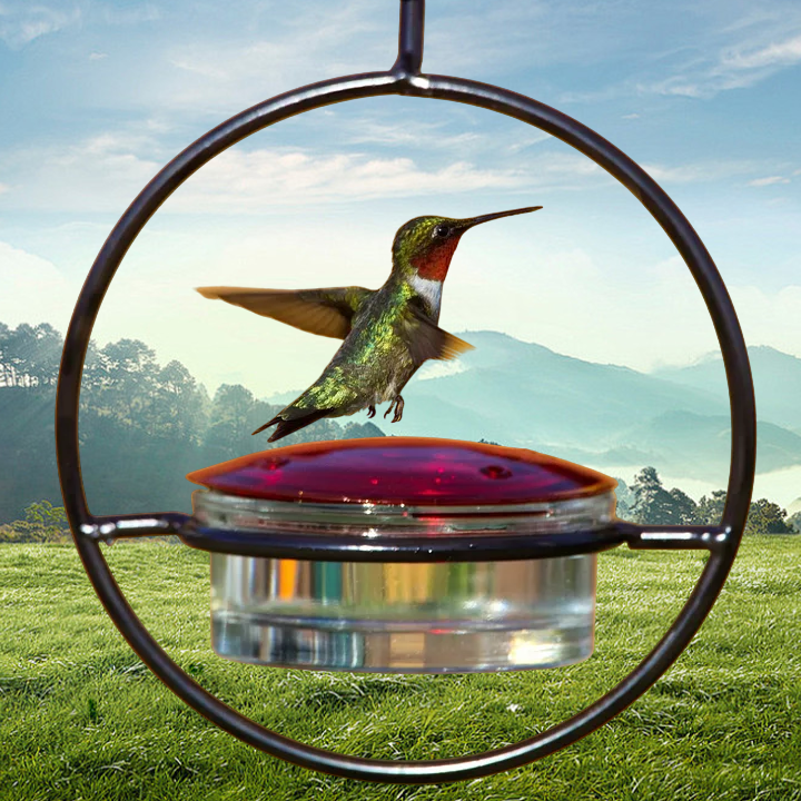 Hummble Slim Hummingbird Feeder 