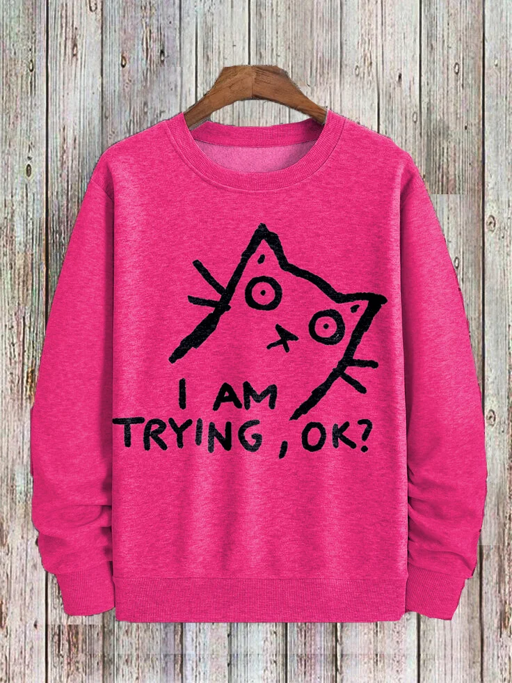 Men's Stormy Cat I Am Trying Ok Graphic Print Casual Sweatshirt