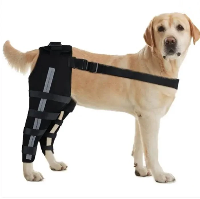 Double Dog Hip Support For Hip Dysplasia For Back Leg Dog Brace With Safety Reflective Straps
