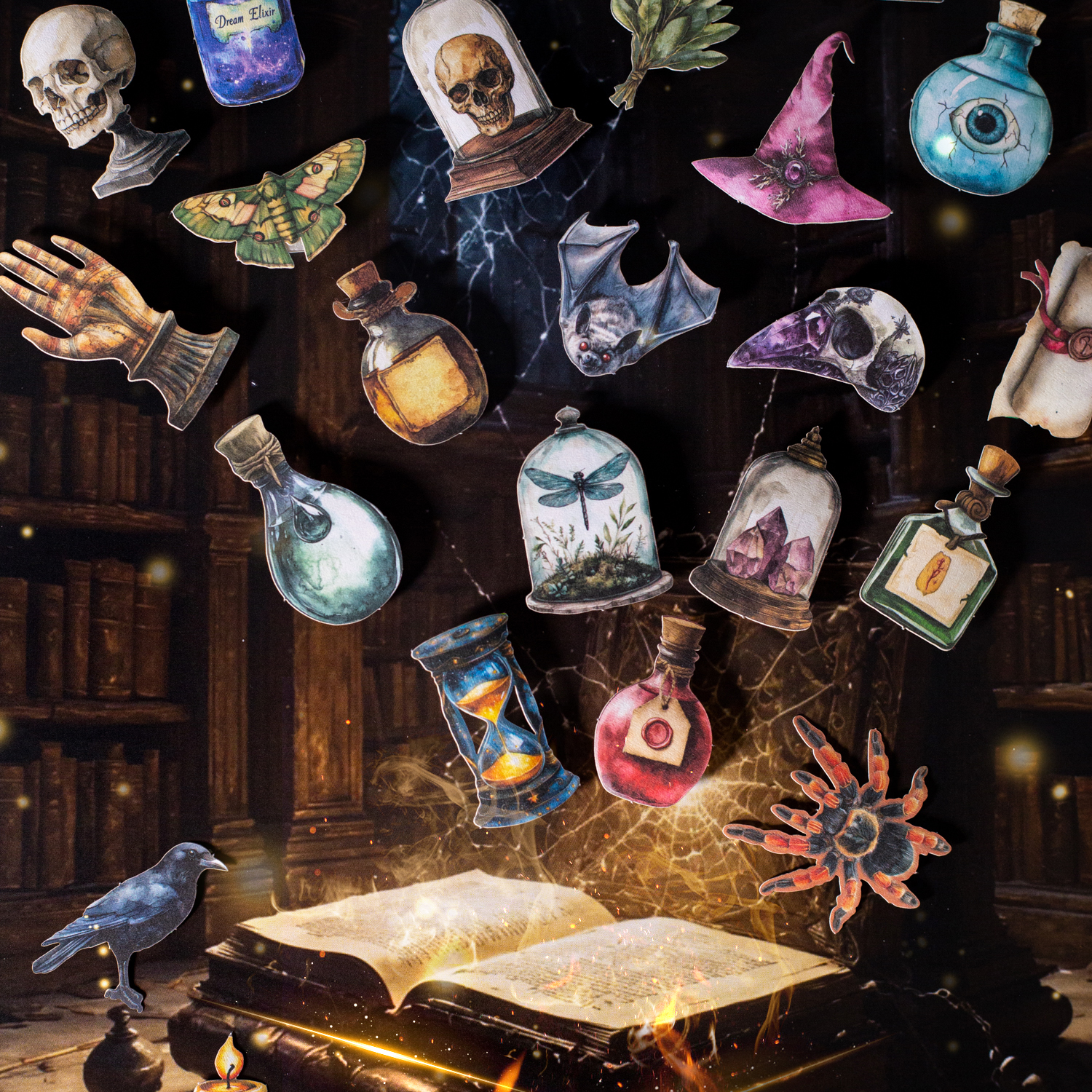 하드 카드 스티커 - 매직 임의 캐비닛 시리즈 빈티지 나비 표본