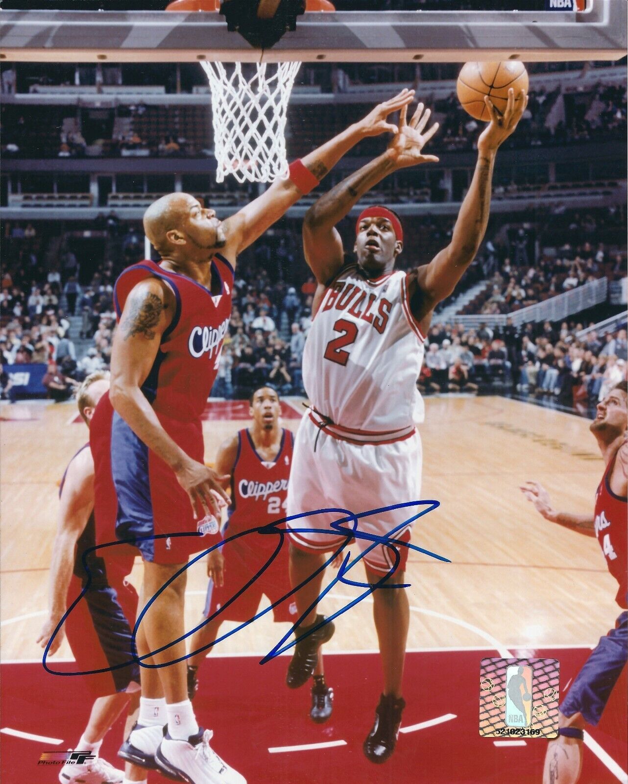 Autographed EDDY CURRY Chicago Bulls 8x10 Photo Poster painting w/COA