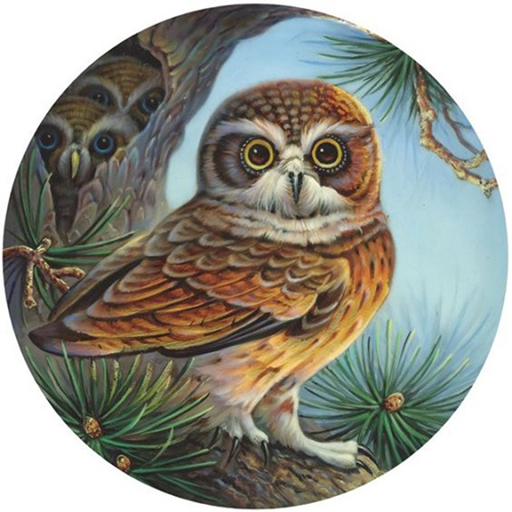 

30*30CM - Round Drill Diamond Painting - Owl, 501 Original