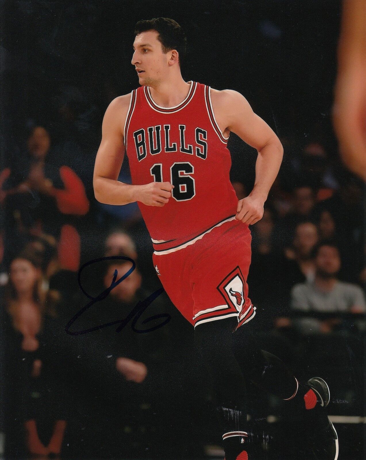 PAUL ZIPSER signed (CHICAGO BULLS) autographed BASKETBALL 8X10 Photo Poster painting W/COA #5