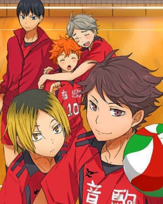 

Haikyu – Paint By Numbers - 40*50CM, 501 Original