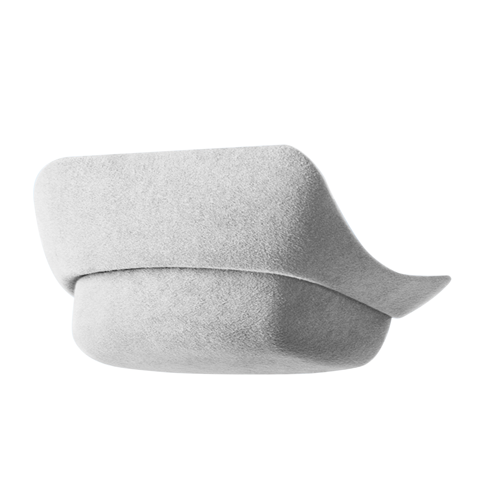 Sunglasses Holder-Tesla1 