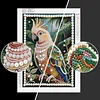 Diamond Painting-DIY Special Shaped Drill Pearl Painting Parrot(30x40cm)