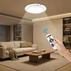 Rechargeable Motion Sensor Ceiling Light with Remote Operated Ceiling Lights Indoor