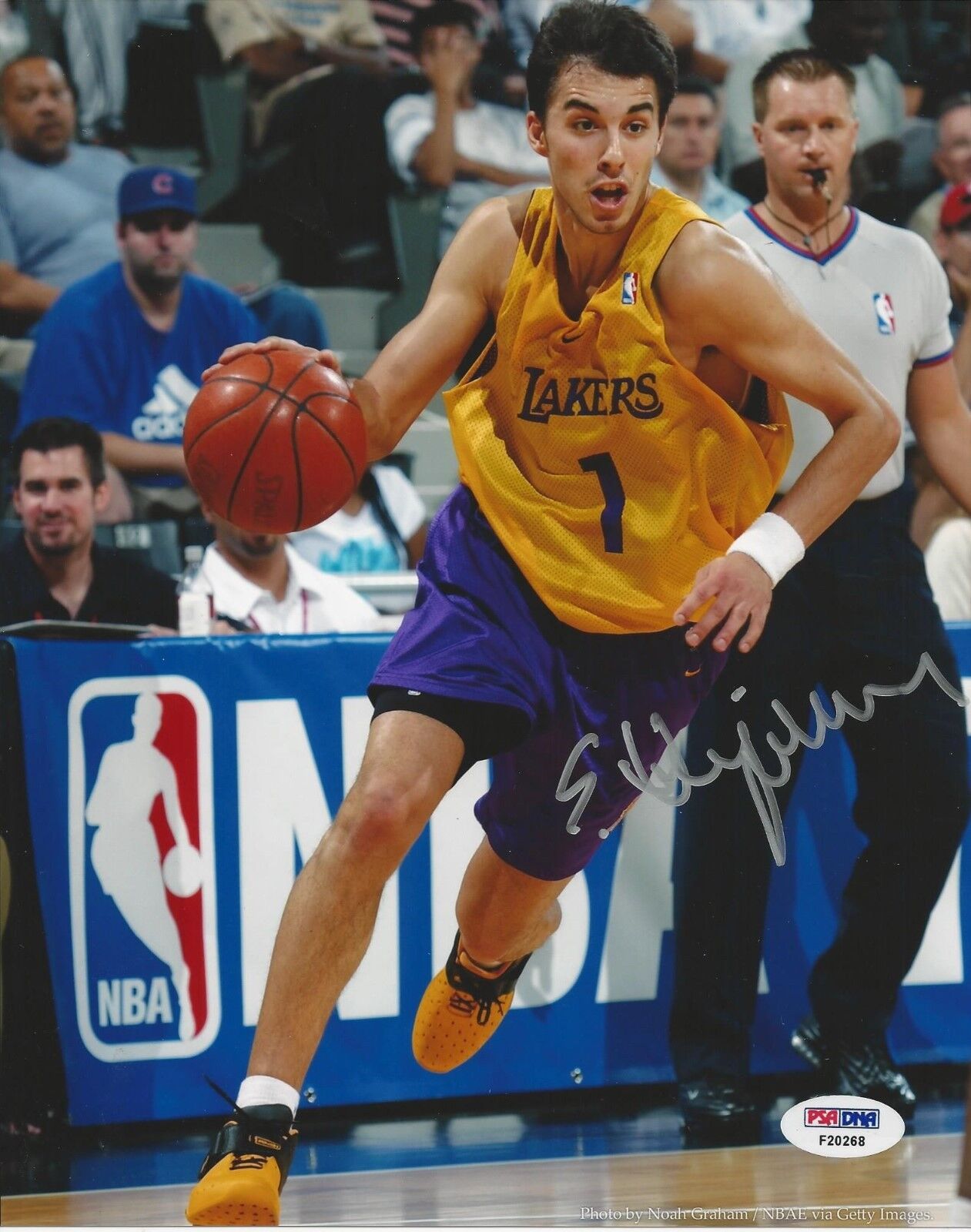 Sasha Vujacic Of The LA Lakers Signed 8x10 Photo Poster painting - PSA/DNA # F20268