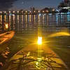 10 Inch Anchor Light Stern Light IP65 Waterproof for Marine Pontoon Small Boat
