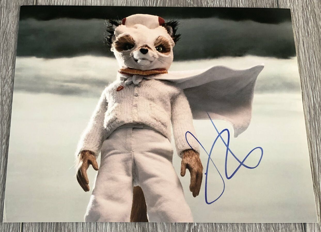 JASON SCHWARTZMAN SIGNED AUTOGRAPH FANTASTIC MR. FOX 8x10 Photo Poster painting w/EXACT PROOF