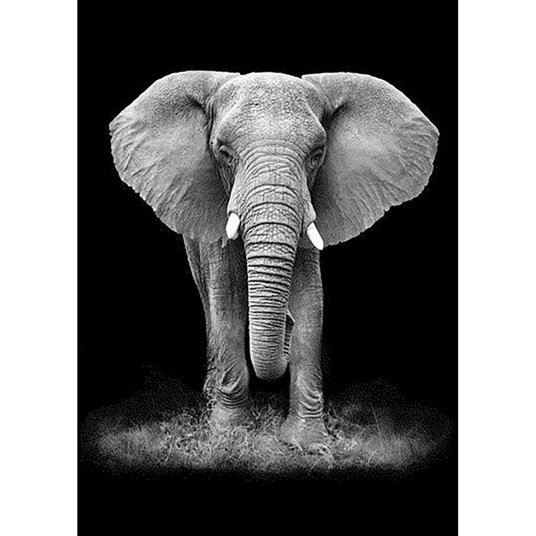 Elephant   Diamond Painting 30*40CM