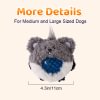 Squeaky Dog Toy Balls, Floating Dog Pool Balls, Dog Spiky Balls, Interactive Fetch Toys for Puppy, Dog Chew Toys for Boredom, for Small Medium and Large Dogs