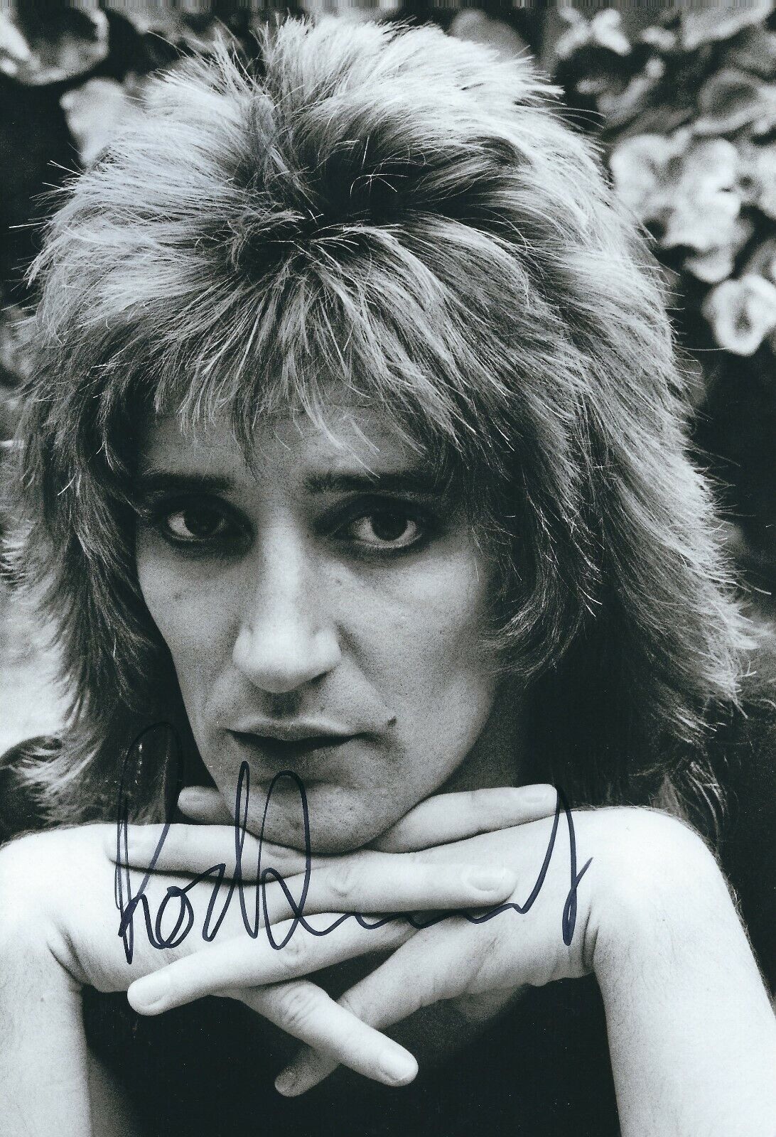 ROD STEWART SIGNED 12x8 Photo Poster painting - UACC & AFTAL RD AUTOGRAPH