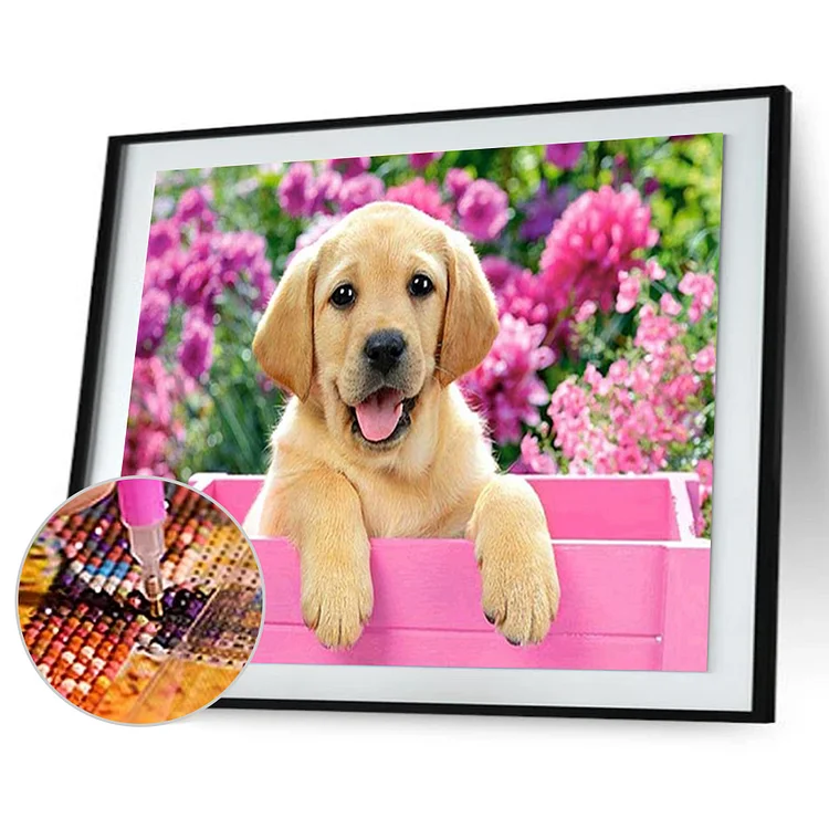 Dog  Diamond  30*40cm