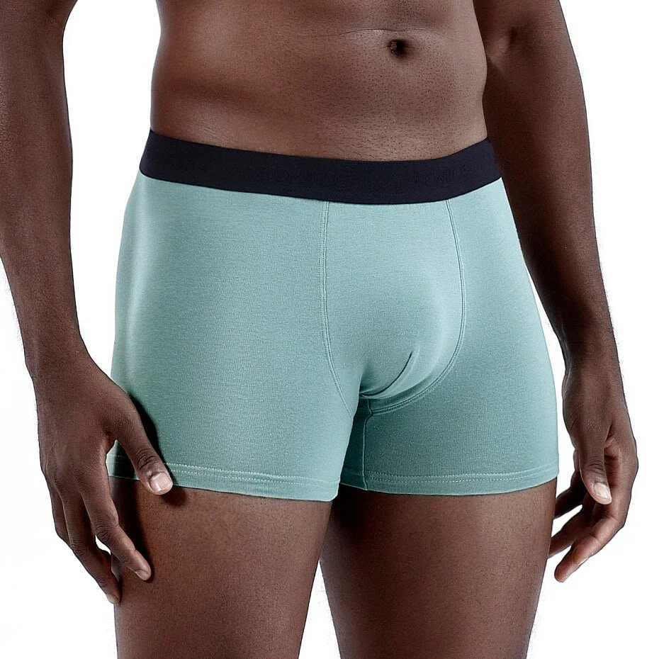 3pcs Brand Boxers Shorts Cotton For Mens  Men's Panties Family Man Underpants Underwear Boxershorts Male Boxer Calecon