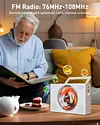 Multi-Function CD Player With Bluetooth, AUX/USB/FM Radio, Multi-Mode Connectivity, Portable Desktop Speakers