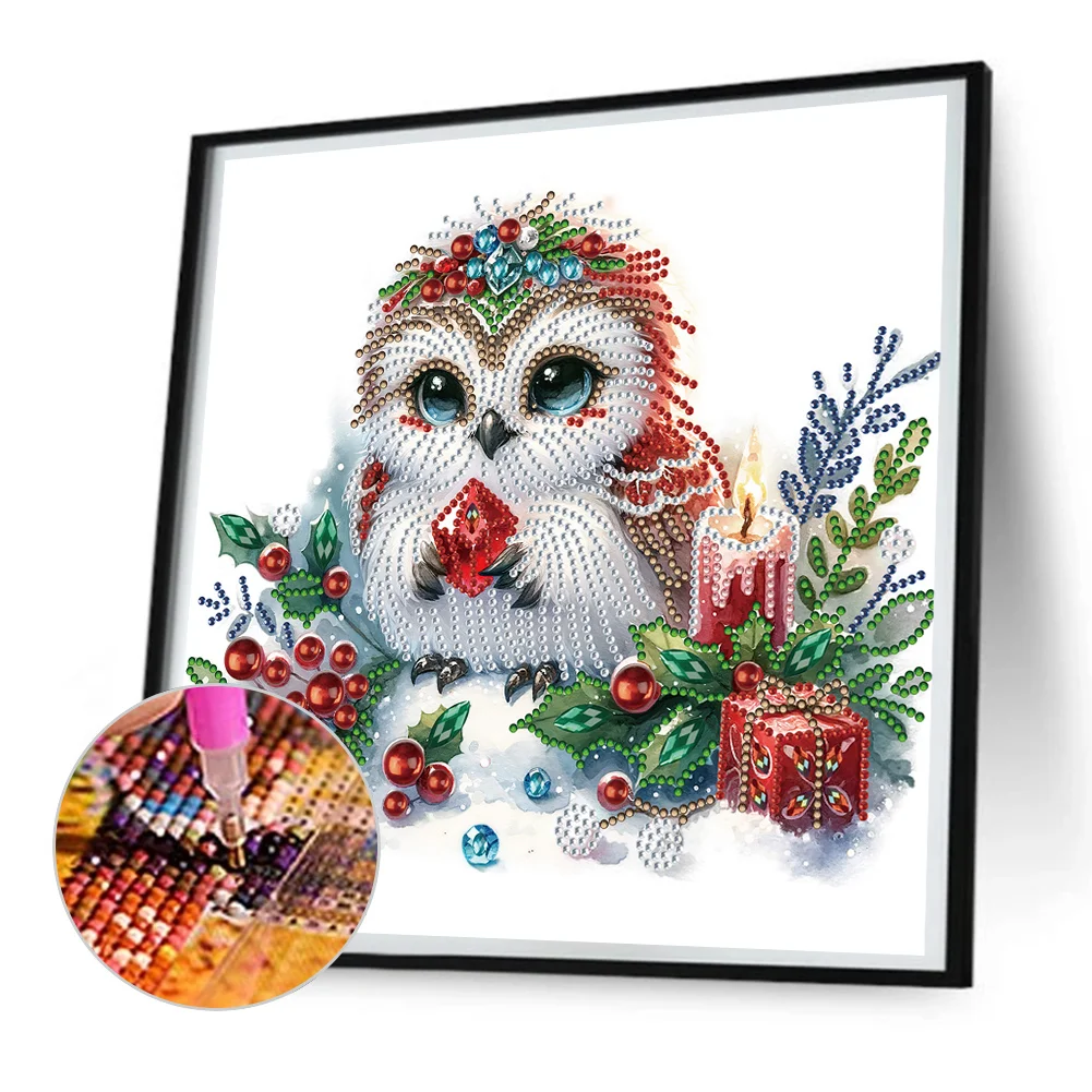 Diamond Painting - Partial Special Shaped Drill - Winter Owl(Canvas|30*30cm)