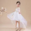 Kid Girl Princess Dress Flower Wedding Evening Dress