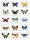 12pcs Mini Square Diamond Painting-Butterfly