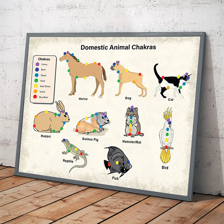 Olivenorma 7 Chakras Animal Pet Infographic Poster