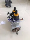 Fuel Injection Pump 6252-71-1110 094000-0750 for Komatsu PC450/490-10