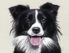Diamond Painting-DIY Full Round Drill Cute Dog