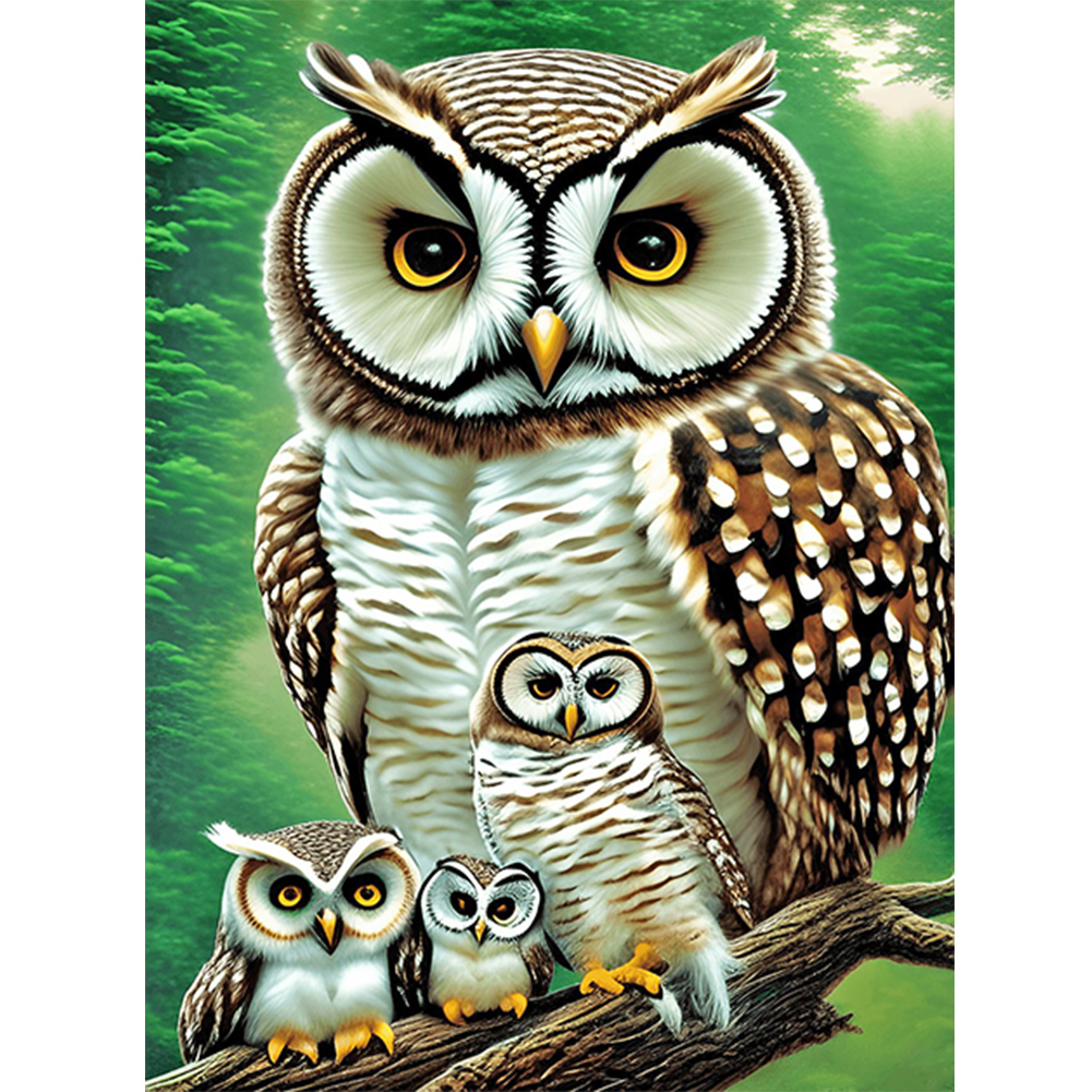 Owl 30*40CM(Canvas) Full Round Drill Diamond Painting gbfke