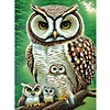 Diamond Painting-DIY Full Round Drill Owl