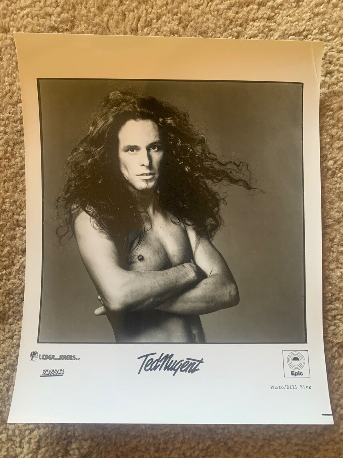 Ted Nugent Rare Vintage Original 8x10 Press Promo Photo Poster painting #4