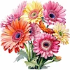 Gerbera - 11CT Stamped Cross Stitch - 40*40cm - Flower