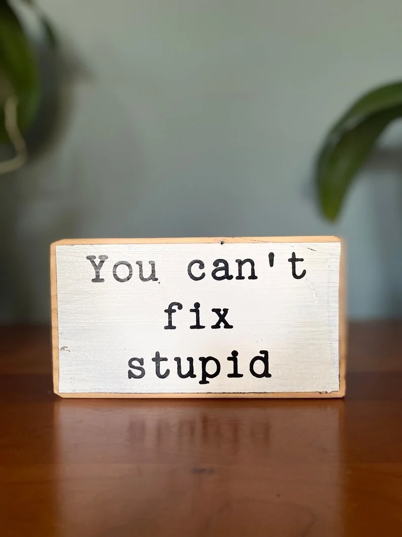 Last Day 70% OFF--You Can't Fix Stupid