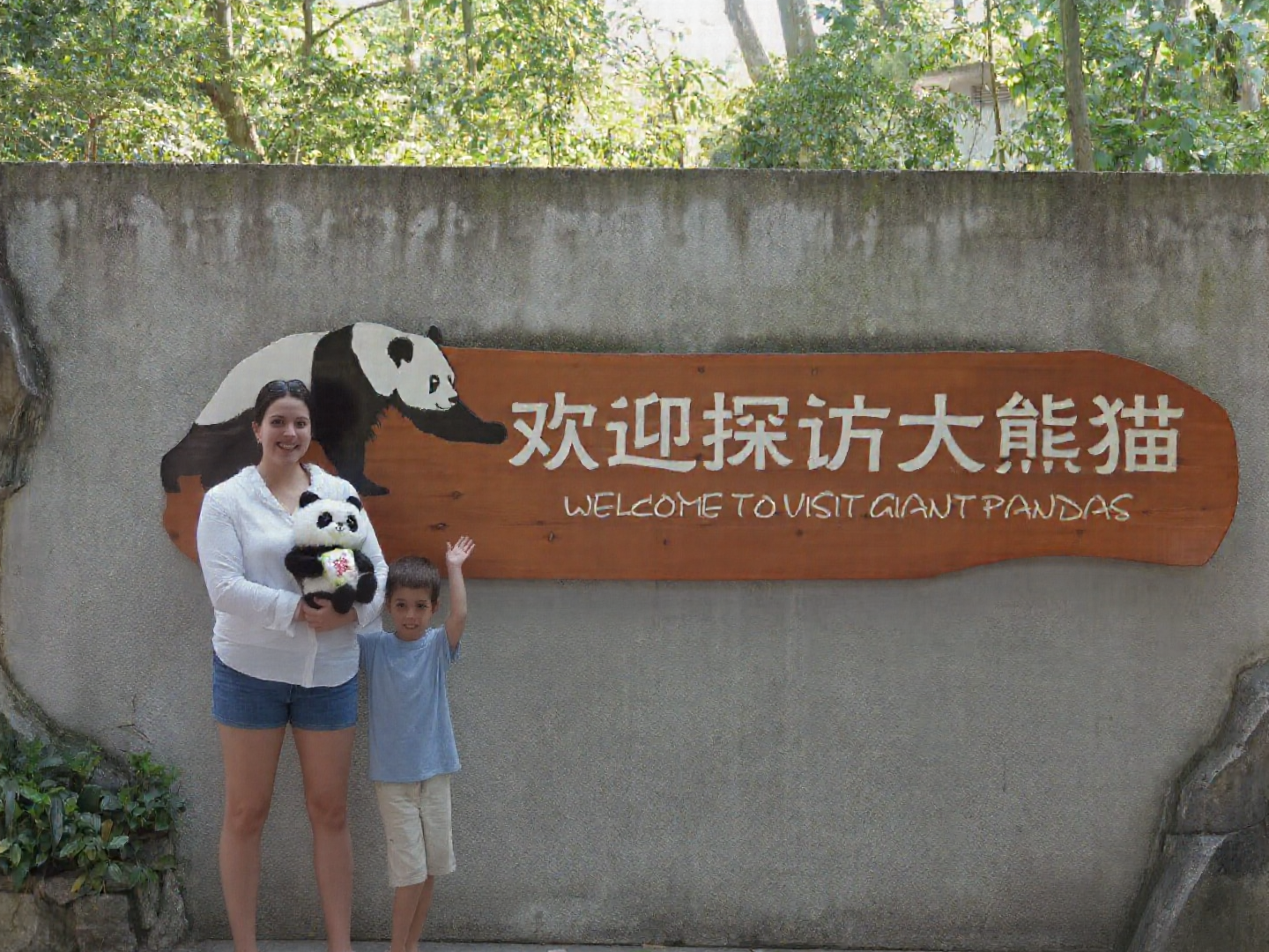 1 Day Chengdu Giant Panda & Sanxingdui Museum Experience