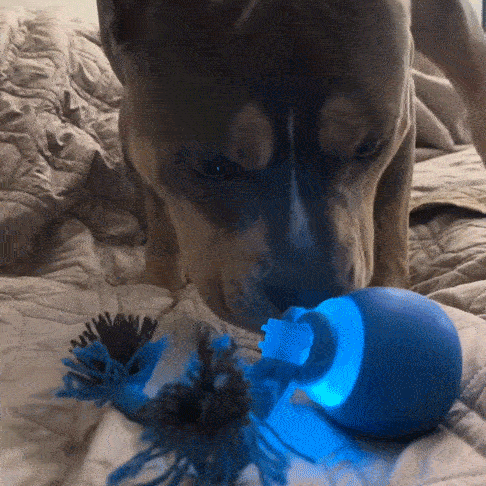 Gentle whitening