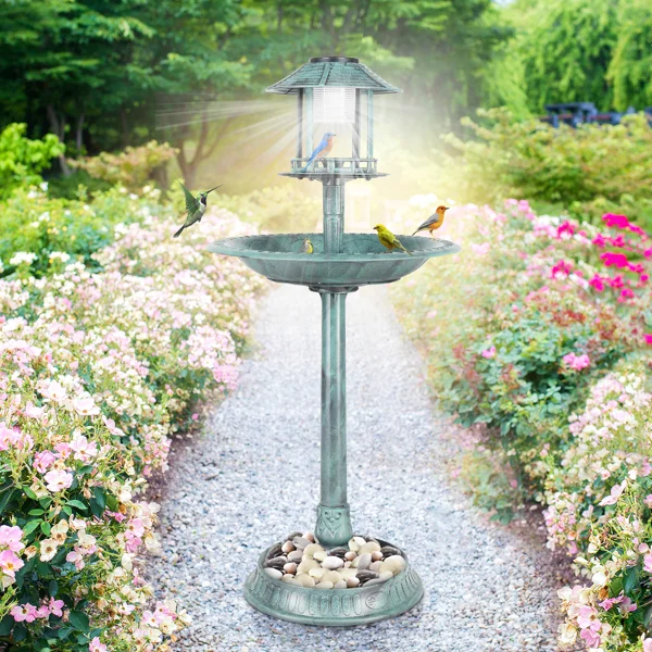 Dark green with solar light bird bath 51*51*106cm plastic round