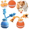 Interactive Dog Toys USB Rechargeable Active Rolling Ball for Puppy/Small Dogs