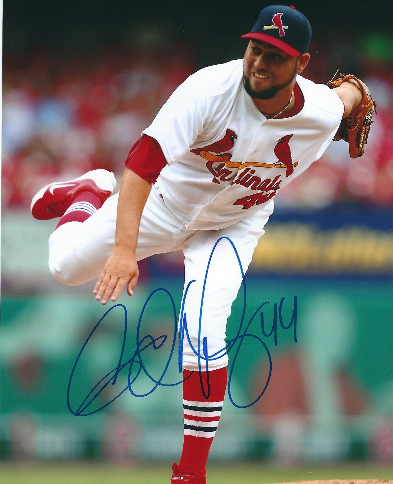 Signed 8x10 EDWARD MUJICA Autographed St Louis Cardinals Photo Poster painting- COA