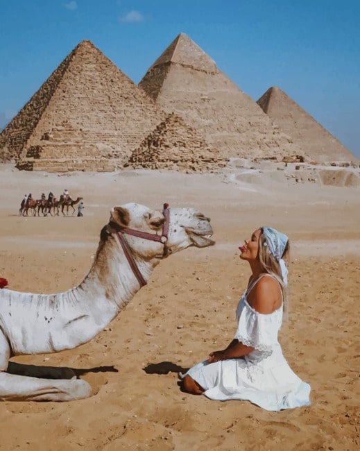 

Girl And Camel In The Great Pyramid Of Giza Egypt – Paint By Numbers - 40*50CM, 501 Original