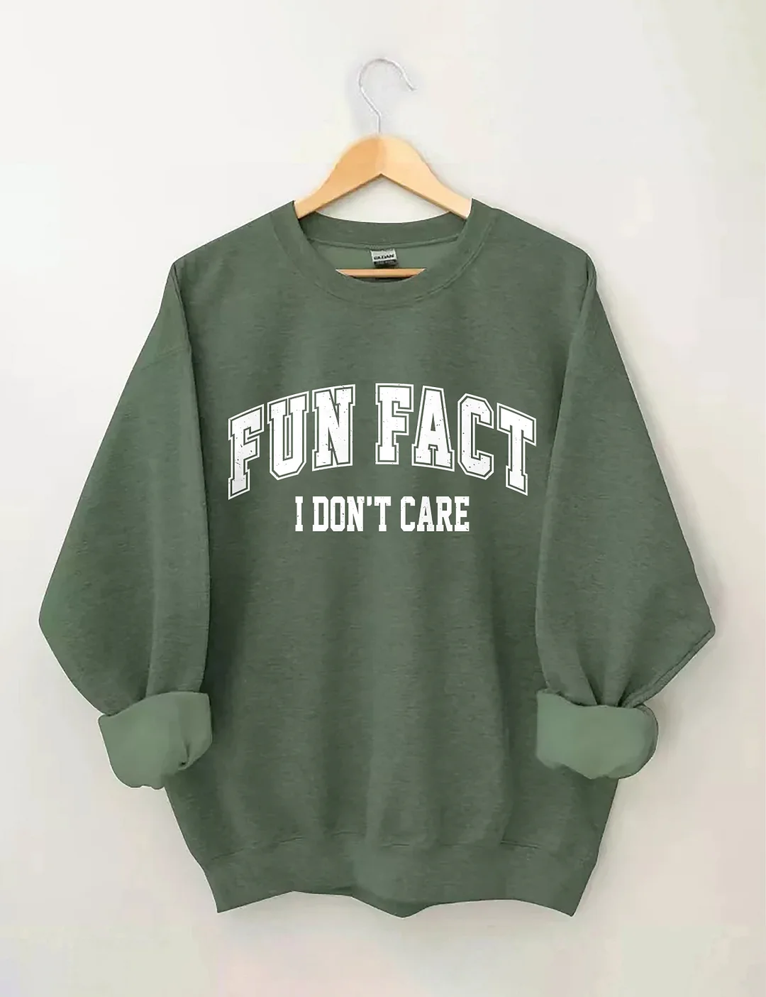 Fun Fact I Don't Care Sweatshirt