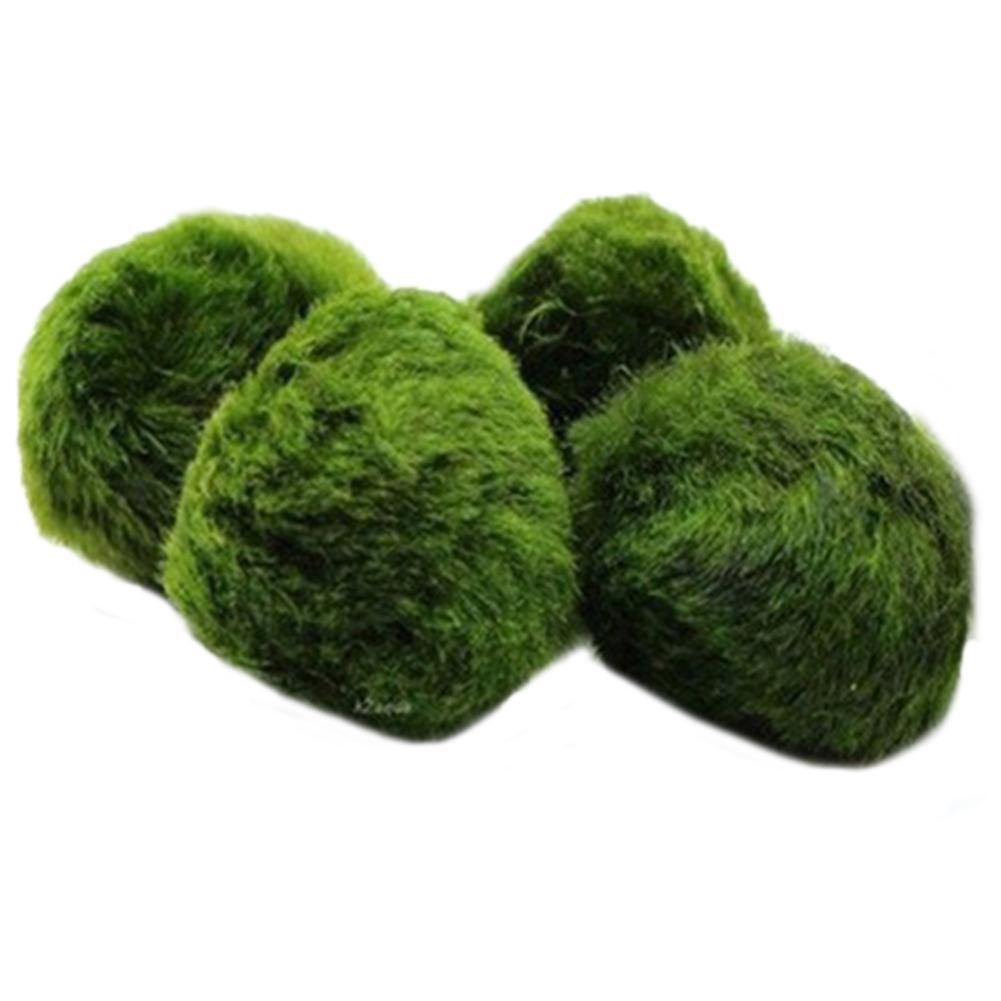 

Aquarium Plants Seeds Fish Tank Aquatic Water Moss Balls Landscape Decor, 501 Original
