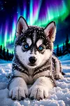 Luxury AB Velvet Diamond Painting Kit - Puppy