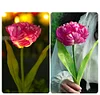 Solar Garden Decorative Light LED Rose Shape Stake Light for Garden Yard Backyard Waterproof