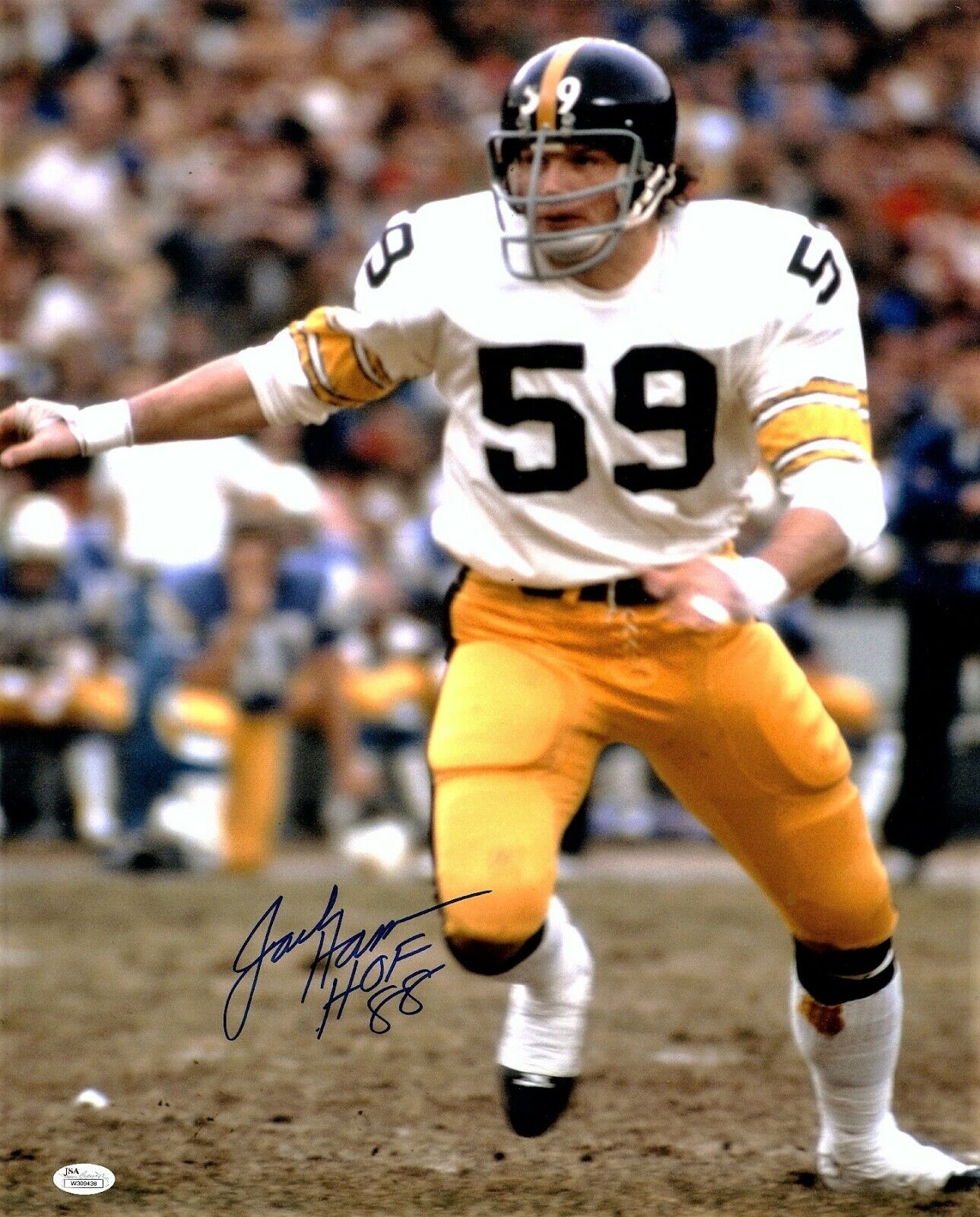 Jack Ham Signed Autographed Pittsburgh Steelers 16x20 Photo Poster painting + Witnessed JSA COA