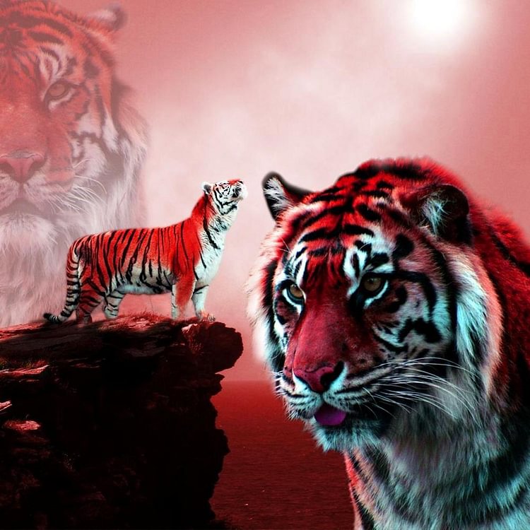 Peinture de diamant - ronde complète - tigre