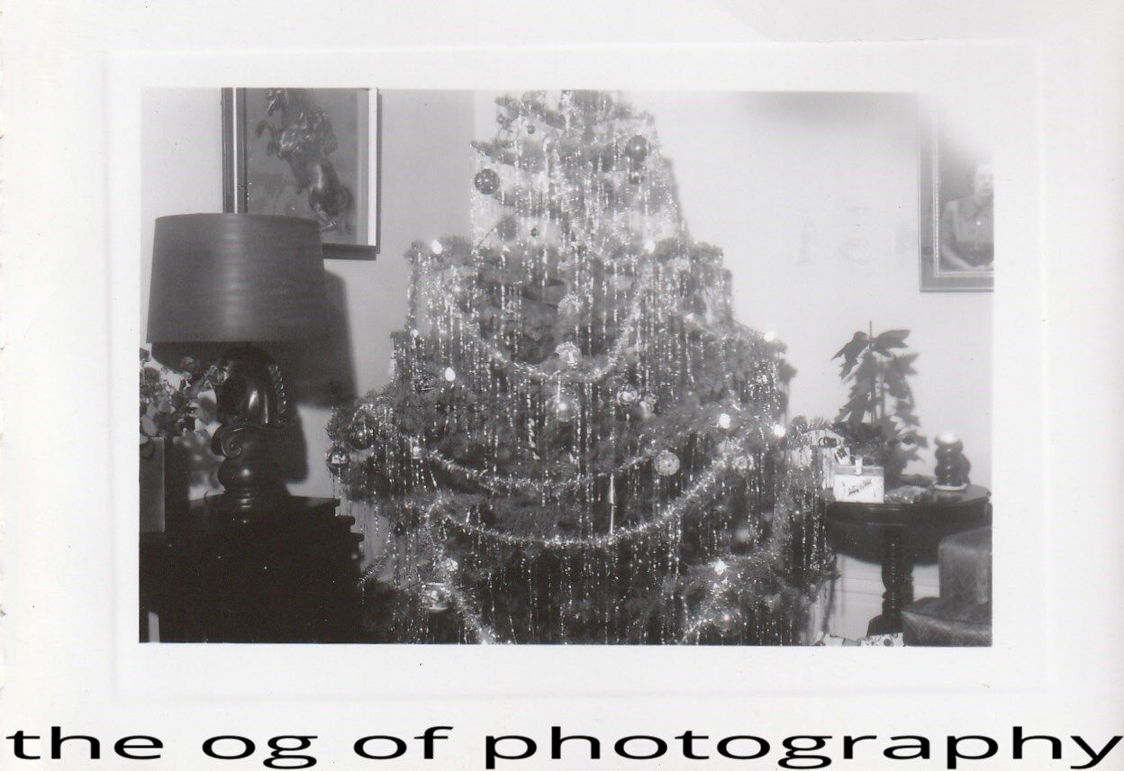 Christmas Tree FOUND Photo Poster painting Original BLACK + WHITE SnapshotDD 84 6