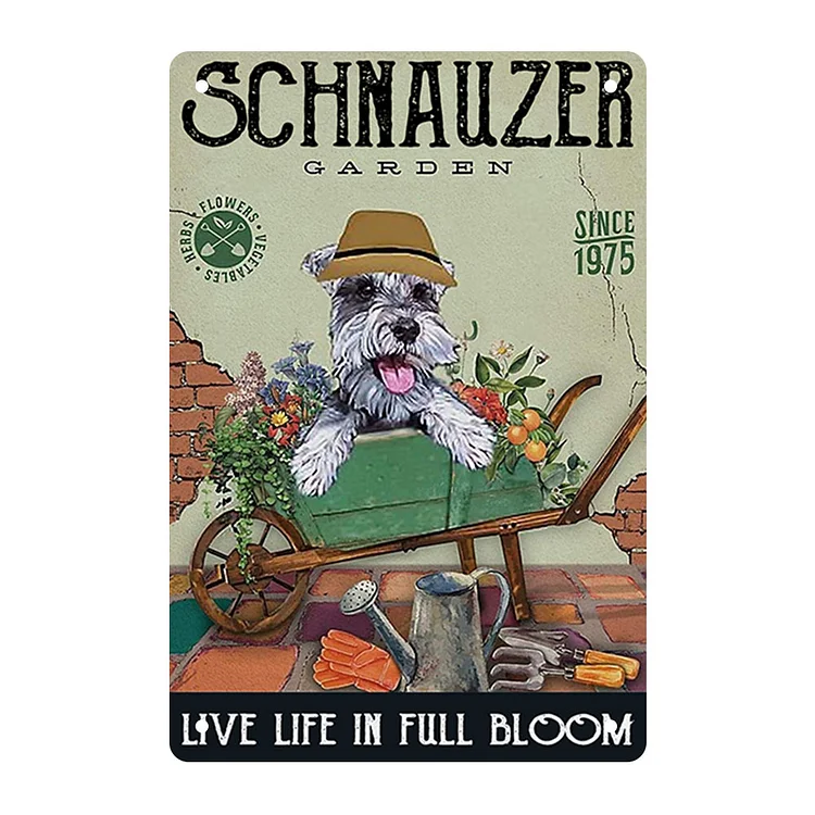 Dog Schnauzer Garden - Vintage Tin Signs/Wooden Signs - 7.9x11.8in & 11.8x15.7in